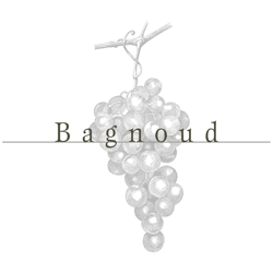 Bagnoud vins